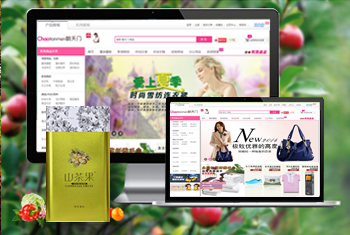 ���������̳�